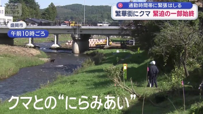 警察とクマの“にらみあい”