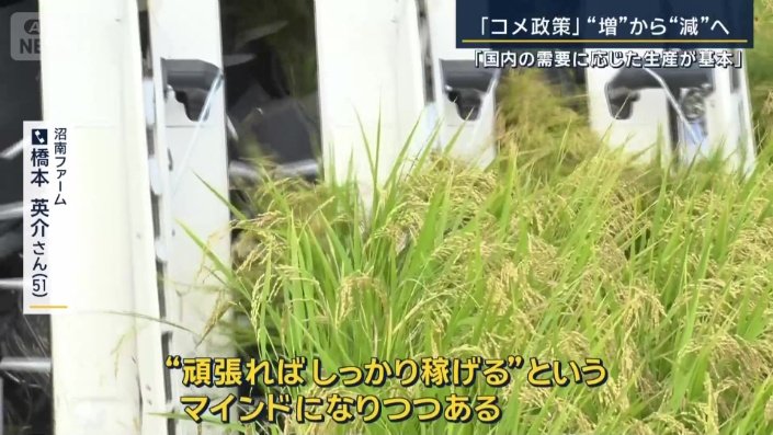 沼南ファーム　橋本英介さん（51）