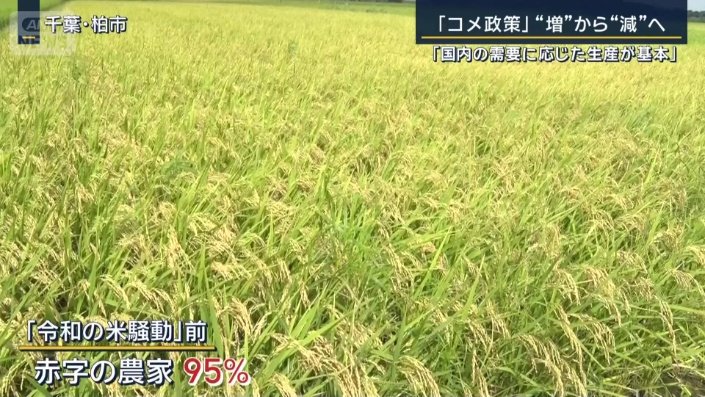 赤字の農家95％
