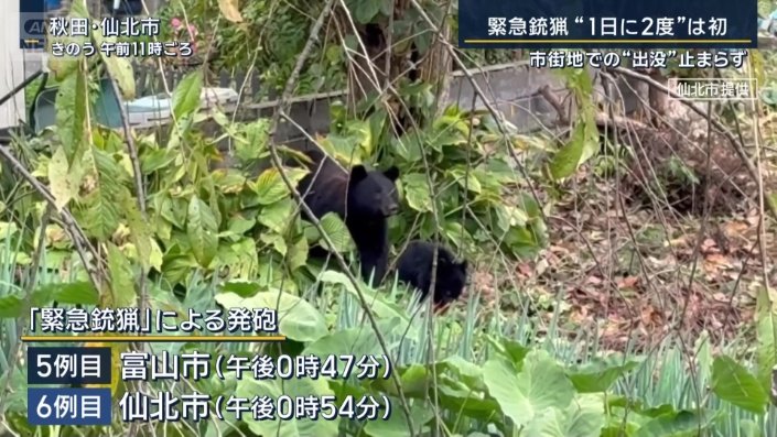 6例目