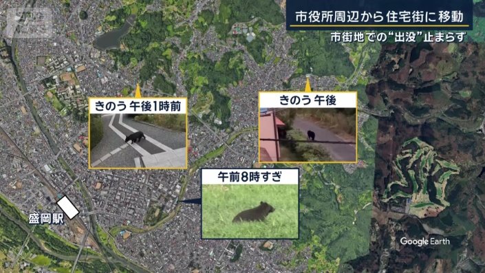 目撃情報