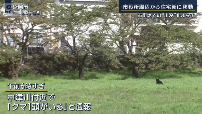 警察に通報