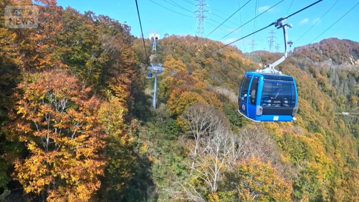 スキー場のゴンドラで紅葉絶景“空中散歩” クマに遭わず安全 チケットに大行列
