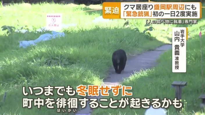 「結構遅くまで里周辺をうろつく」