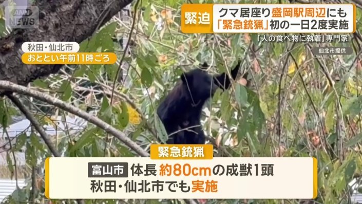 富山市、秋田・仙北市でも