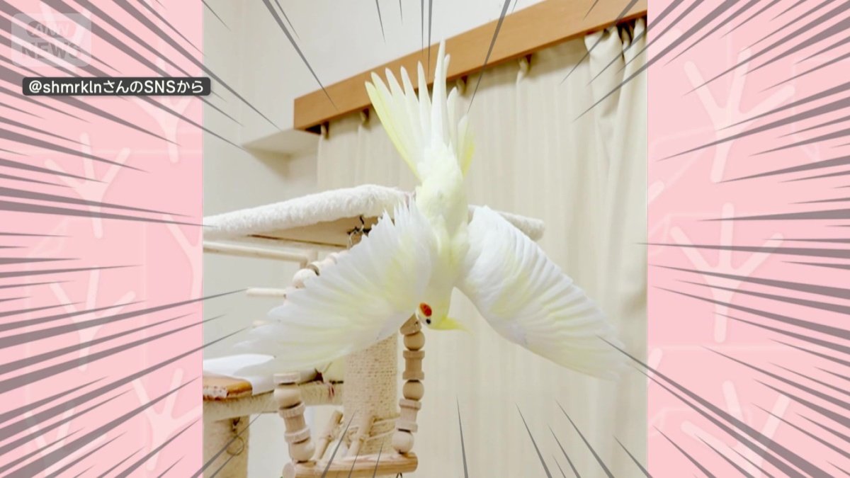 逆さまでポーズ！