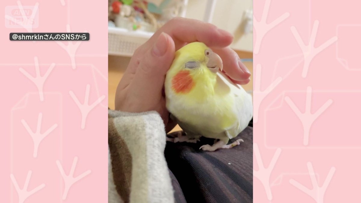 なでられて気持ちよさそう