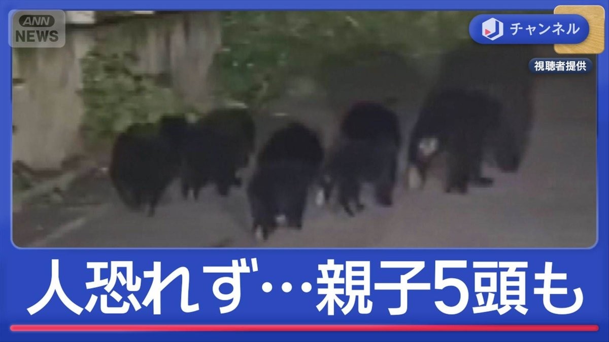4人相次ぎ襲われ1人死亡 ヒナを次々…親子5頭も 人恐れないクマ