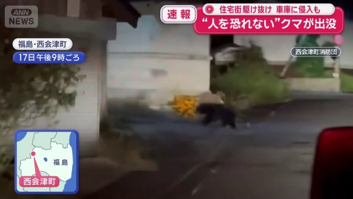 猛スピードで駆け抜けるクマ