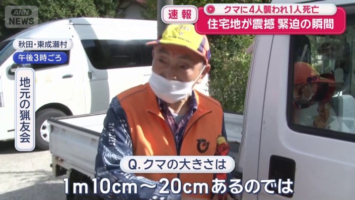 クマの大きさは?