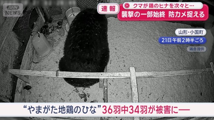 被害額は少なくとも34万円