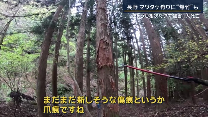 梅松苑 松下武史さん