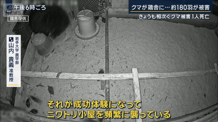 岩手大学農学部 山内貴義准教授
