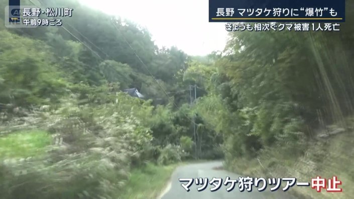 マツタケ狩りツアー中止