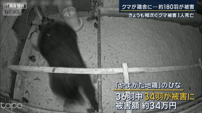 鶏小屋