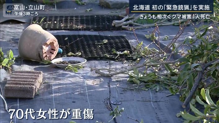70代女性が重傷