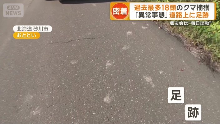 ヒグマの足跡