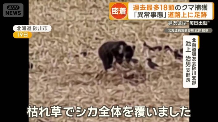 捕らえたシカを埋める様子