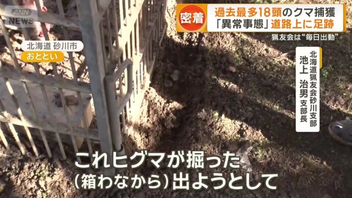 クマが掘った穴