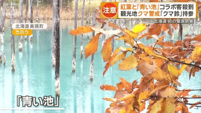 美瑛町の「青い池」