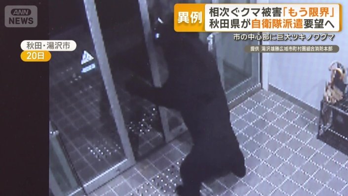 消防本部に入り込むクマ