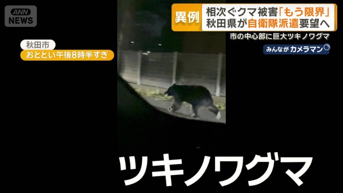 車のすぐそばを走り抜けていくツキノワグマ