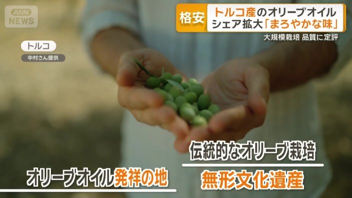 ユネスコの無形文化遺産