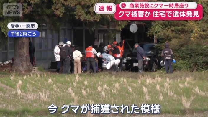 男性を襲ったとみられるクマは、駆除された