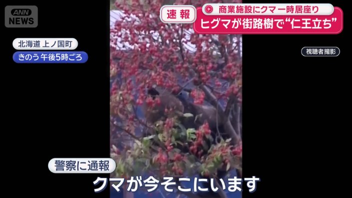 ヒメリンゴの木に…