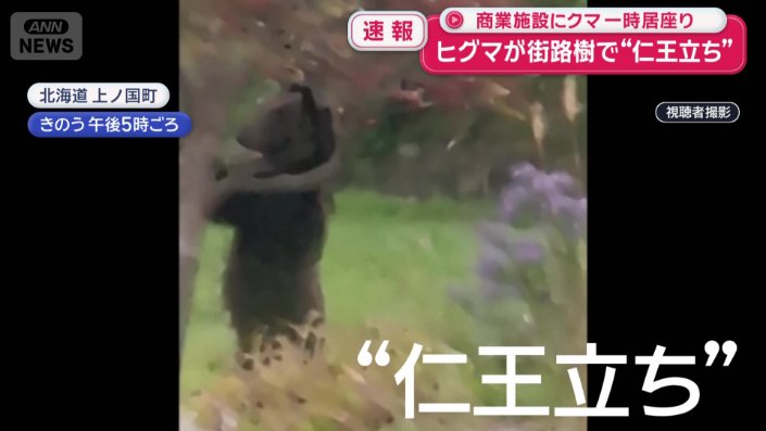 前脚をかけて、“仁王立ち”