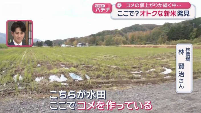 本業はコメ農家