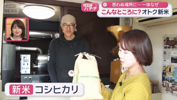 新米のコシヒカリ