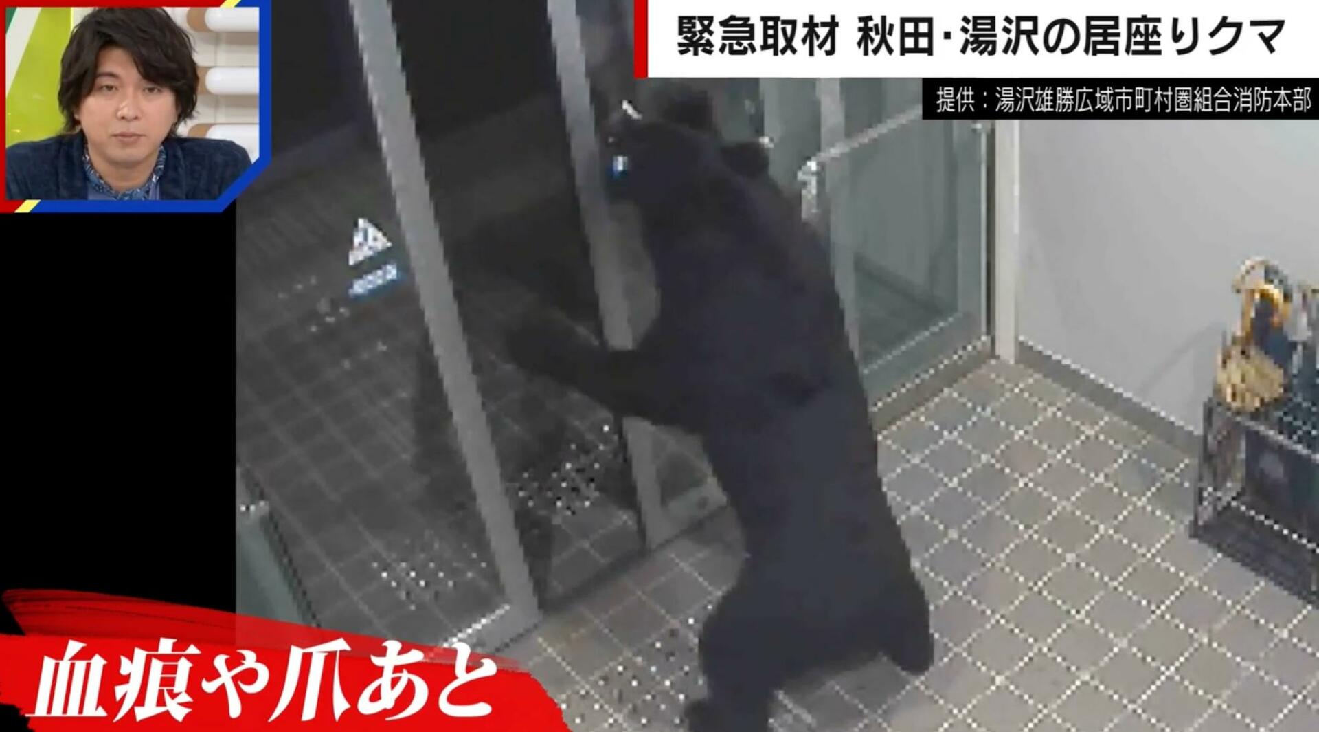 クマが民家居座り、4人を襲撃…なぜ捕獲に6日間も?ハンターが言及「家の中に入ると緊急銃猟・銃があっても安全ではない」