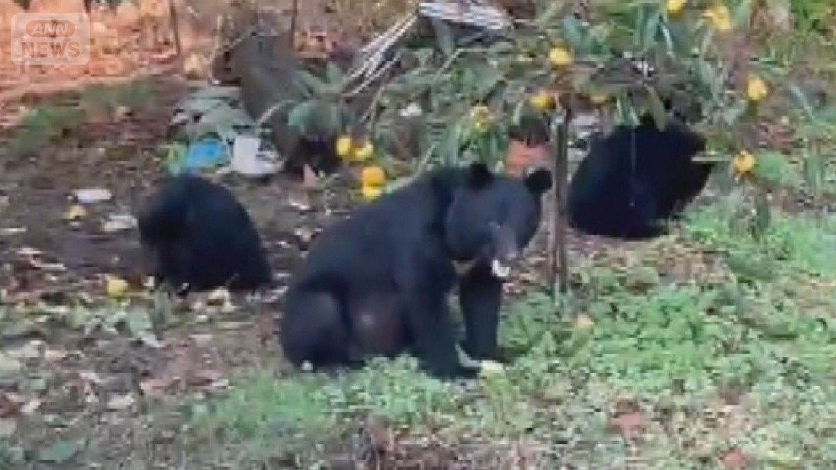 住宅の庭に男性の遺体 飼い犬も死ぬ クマに襲われたか 近くで猟友会が駆除