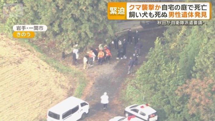 猟友会がクマを引きずっていく姿