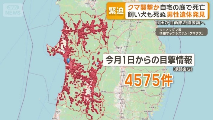 今月1日から4000件以上の目撃情報