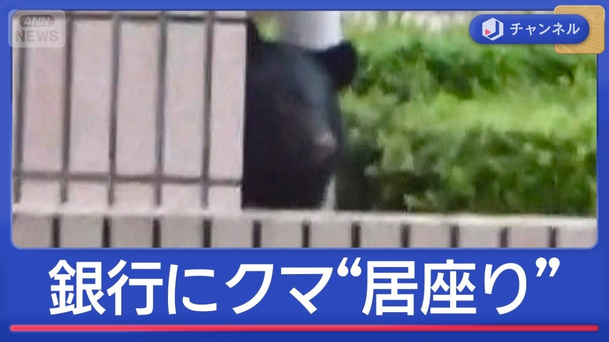 銀行にクマ“居座り”開店2時間前の捕獲作戦