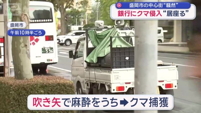 体長およそ1メートルのクマを捕獲