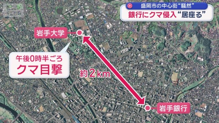 岩手大学でもクマ目撃