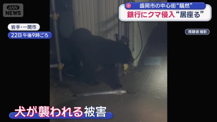 一関市の住宅街に現れたクマ