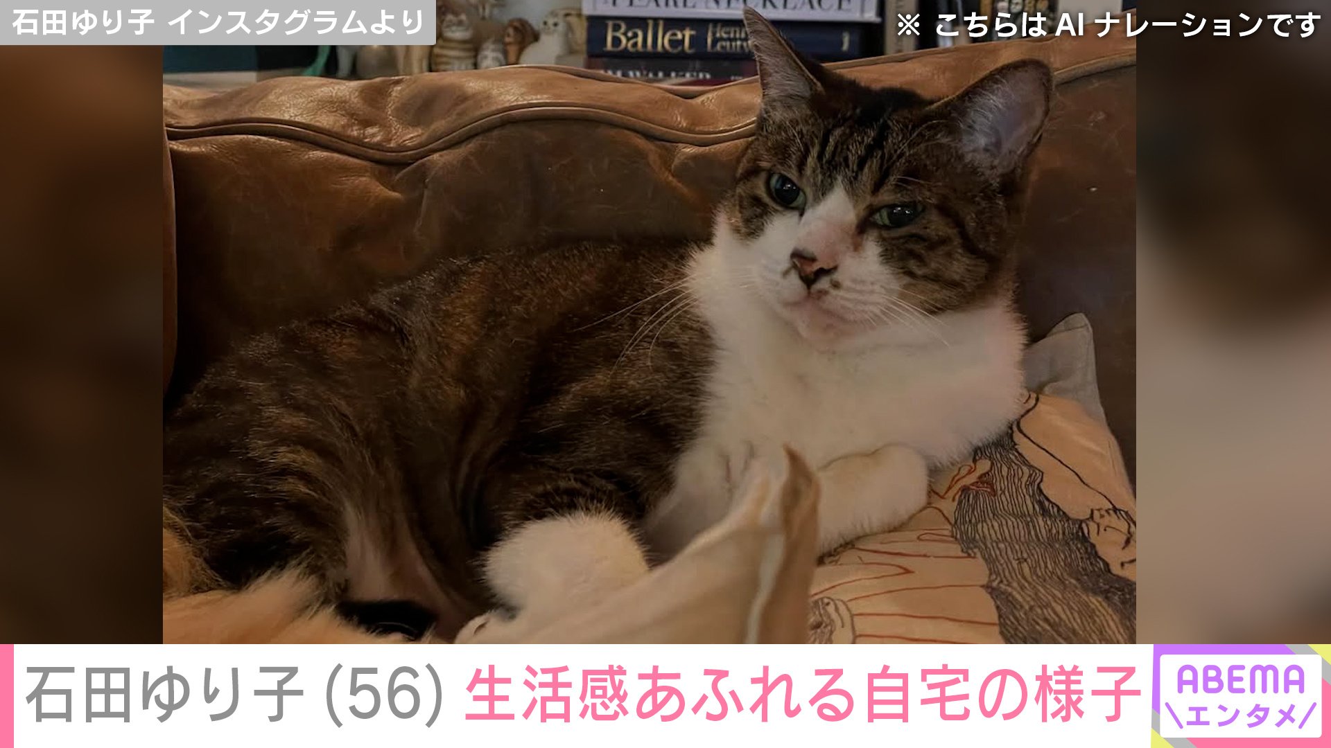 石田ゆり子 Instagramより