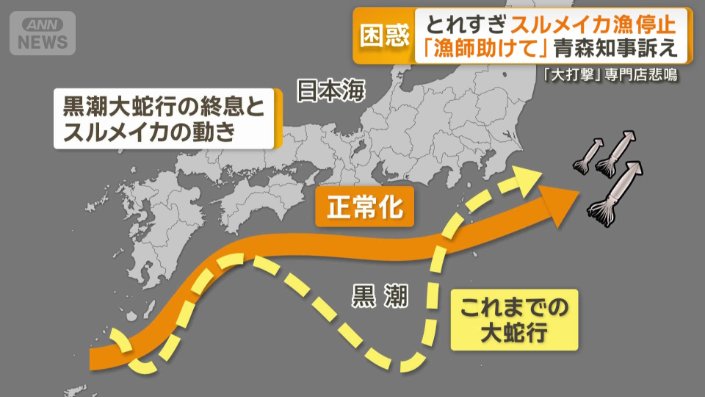 スルメイカの群れが多く生き残ったか