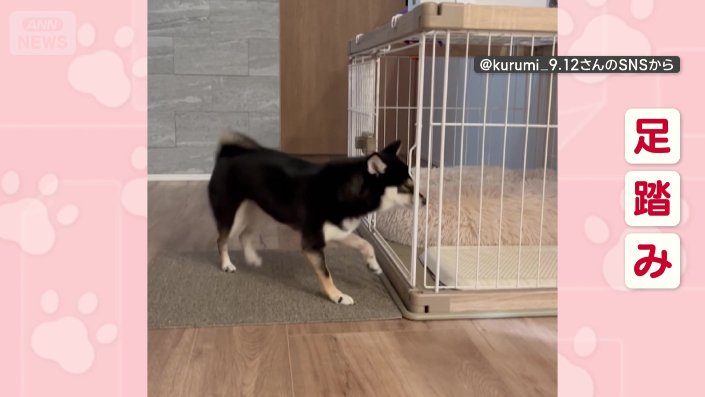 その場で足踏み