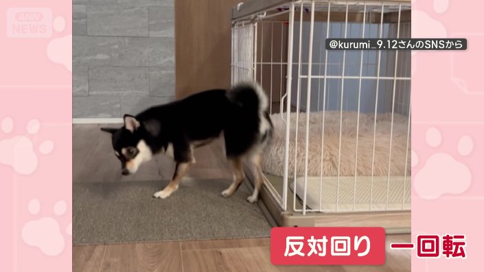 反対回りに１回転しながら、足踏み