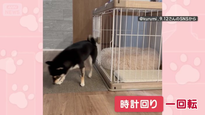 くるっと時計回りに一回転