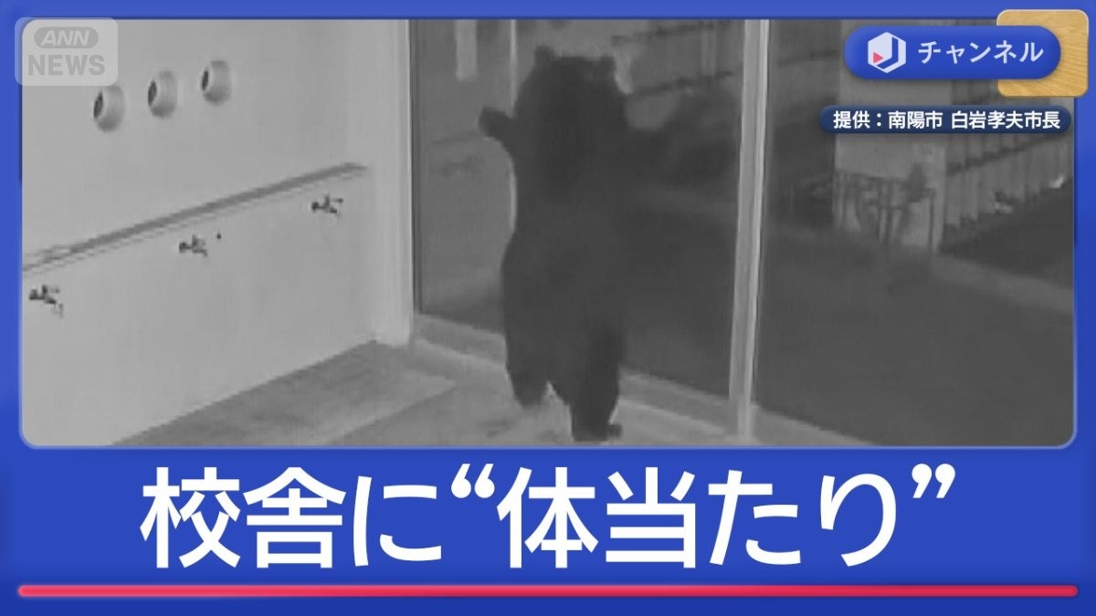 校舎にクマ“体当たり”なぜ？　人を恐れず、食べ物に執着