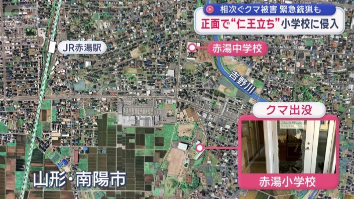 住宅地を通り過ぎて、校庭に入ってきたとみられる