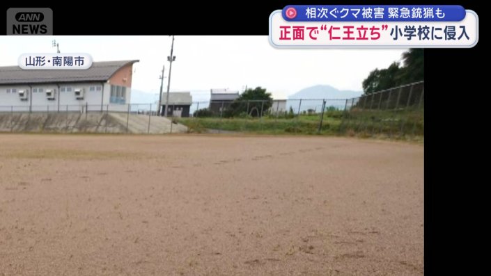 この高さのフェンスを乗り越えてきたのか？