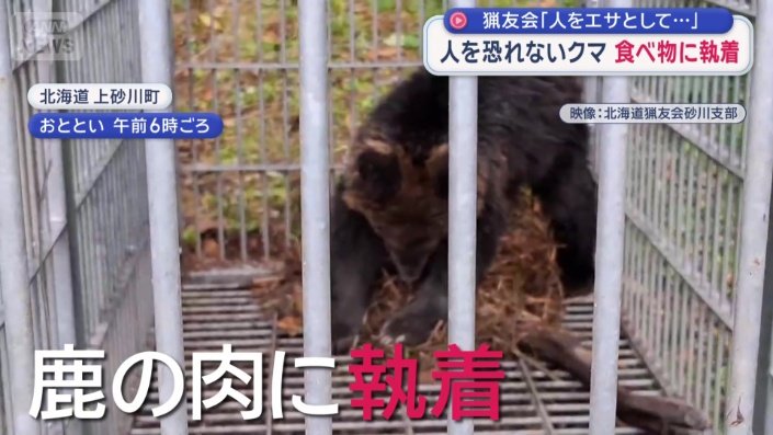 シカの肉に執着