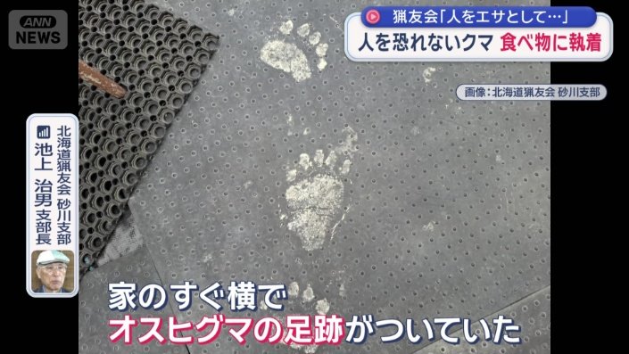 食べ物を求めて市街地にやってくる現状に警鐘